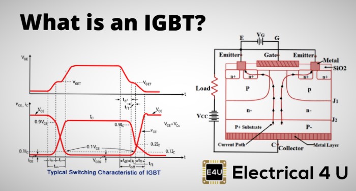 آی جی بی تی و هر آنچه باید راجع به آن بدانید!!